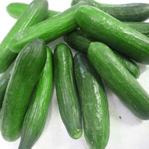 Mini Cucumber