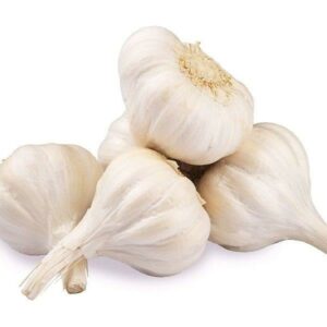 Garlic Pure White