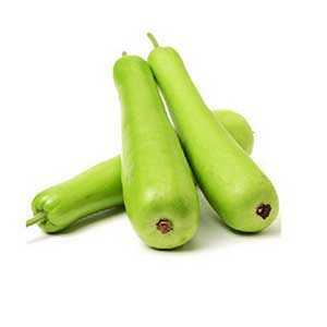 Bottle Gourd