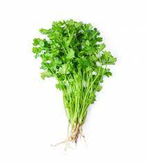 Coriander Leaves