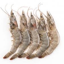 Prawns Fish