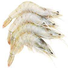 Prawns Fish