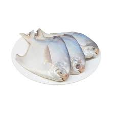 Pomfret Fish White