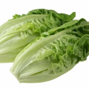 Lettus