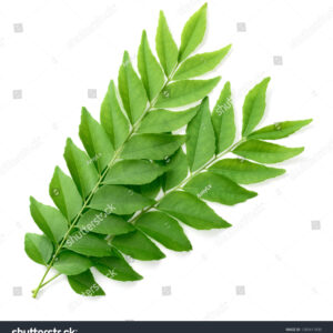 Curry Leaves
